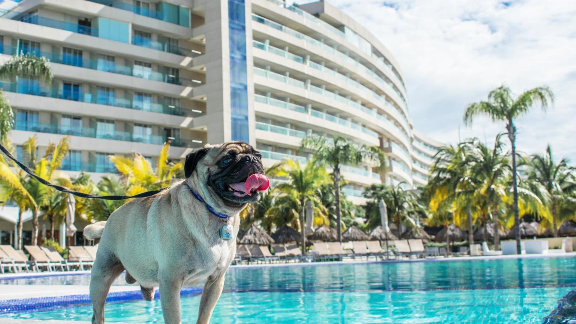 Palacio Mundo Imperial Riviera Diamante Acapulco Extérieur photo Millyard at the Hard Rock Hotel in Cancun